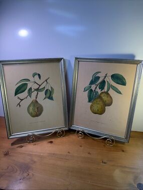 Set of 2 Framed Botanical Pear Prints — Green and Yellow